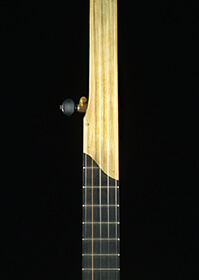 NC Fretless 22 Frets Electric Guitar neck Maple Fretboard Dot Inlay Gloss 25.5inch 