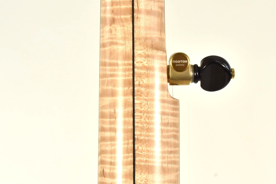 curly maple