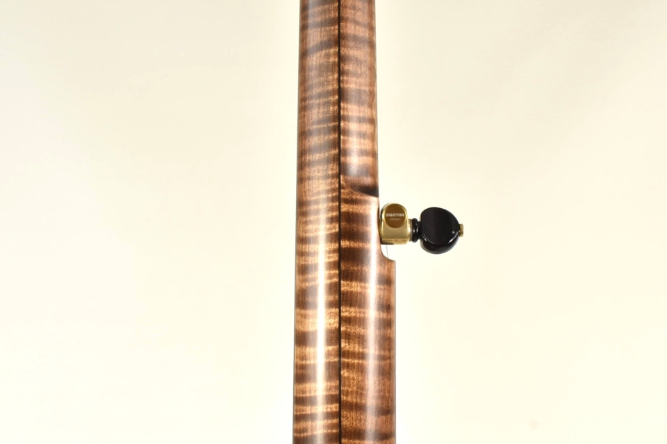Stained curly maple 2