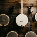 banjo-model-cat-image