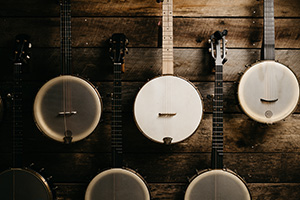 Banjo Models