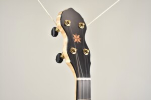 laydie_headstock
