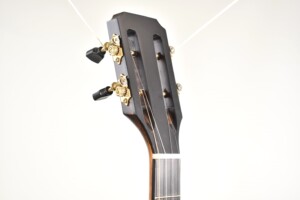 pro_headstock