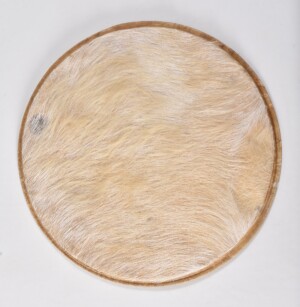 GS12-110425-02 Front