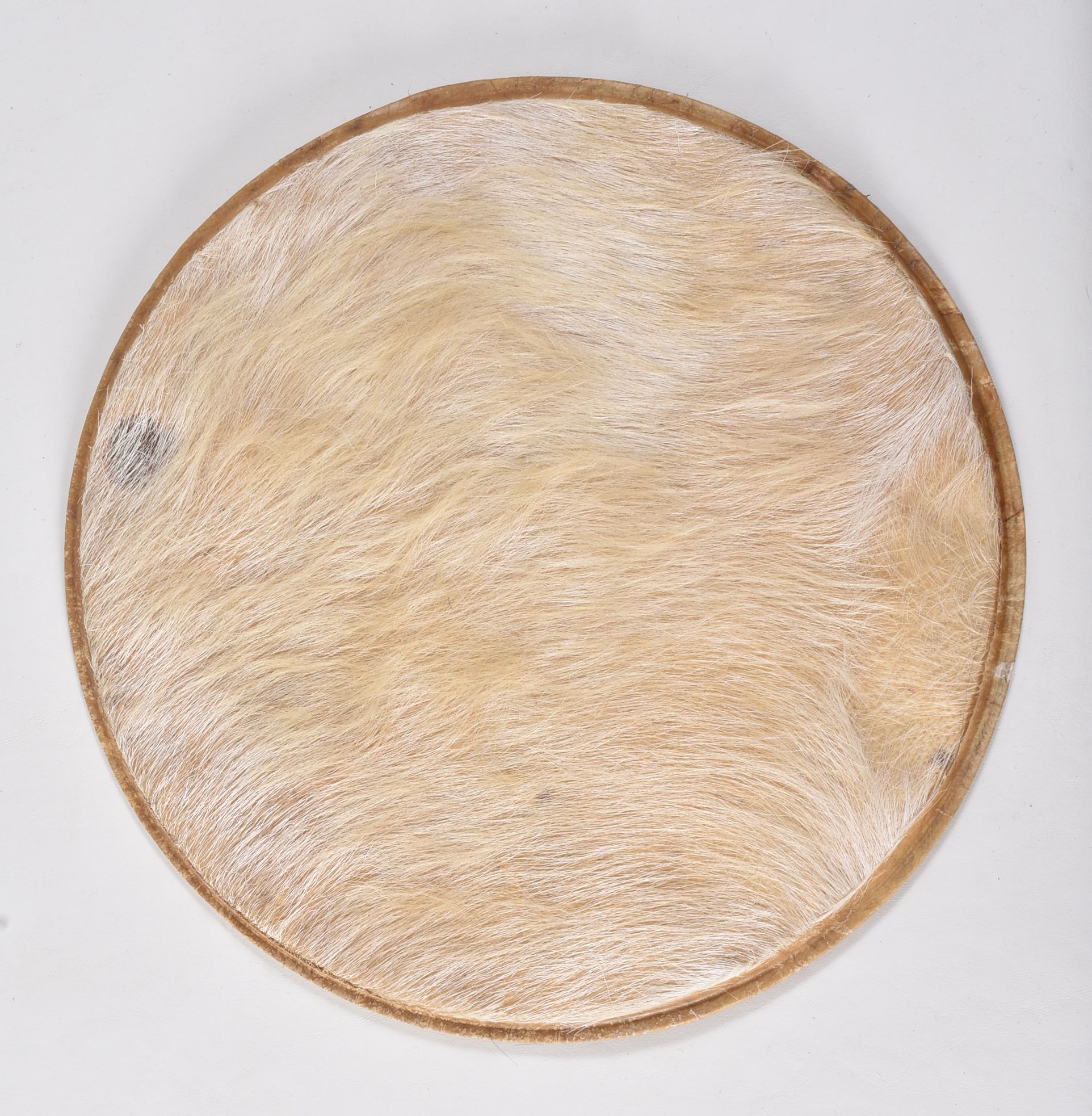 GS12-110425-02 Front